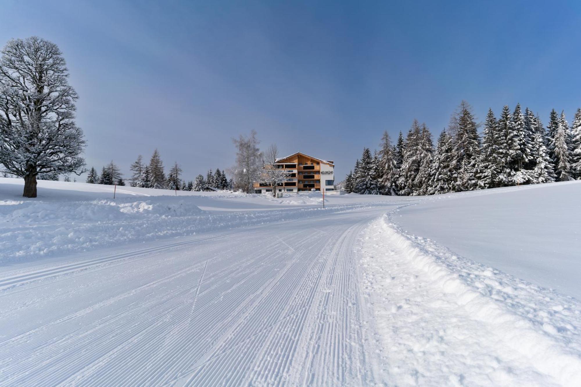 Waldrand Apartments Ramsau am Dachstein Εξωτερικό φωτογραφία